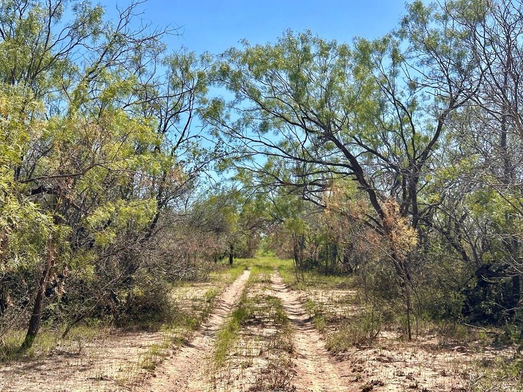 11422 W Grape Creek Rd #8, San Angelo, Texas image 2