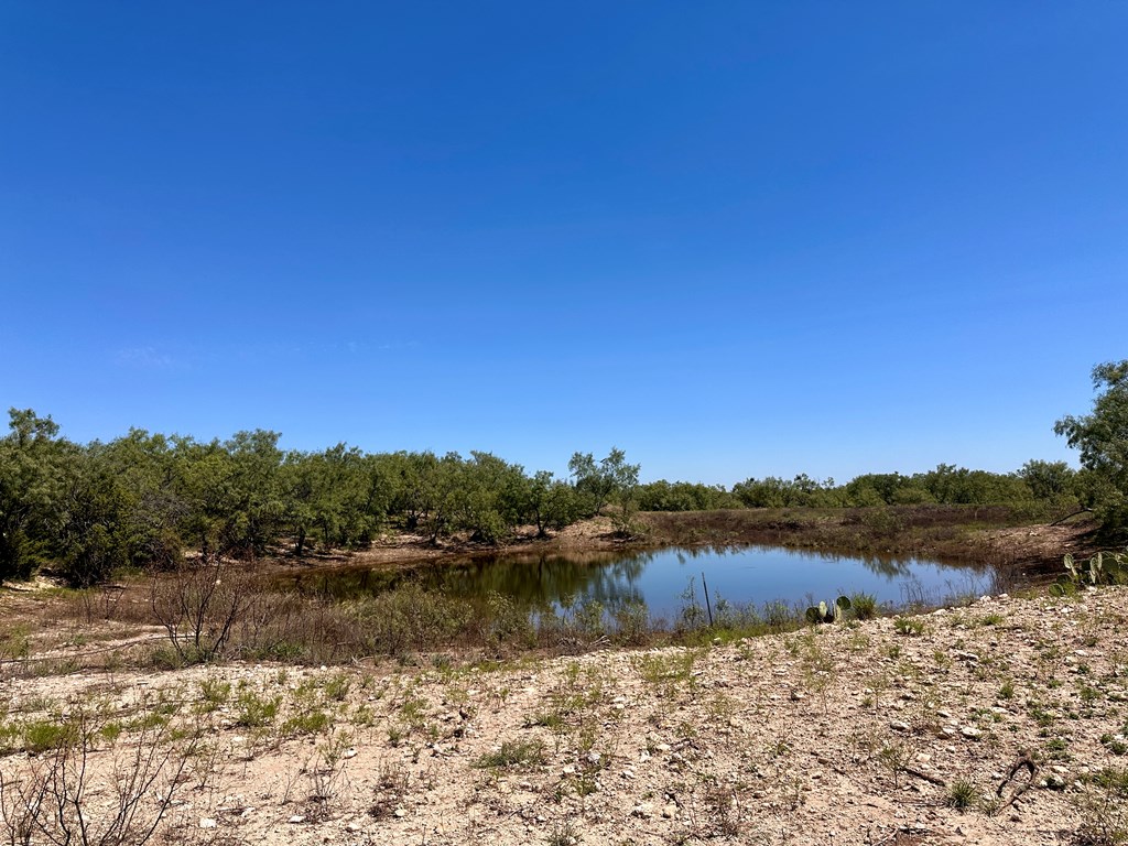 11422 W Grape Creek Rd #8, San Angelo, Texas image 8