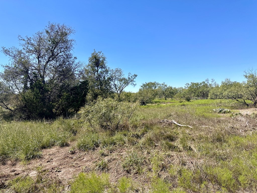 11422 W Grape Creek Rd #8, San Angelo, Texas image 9