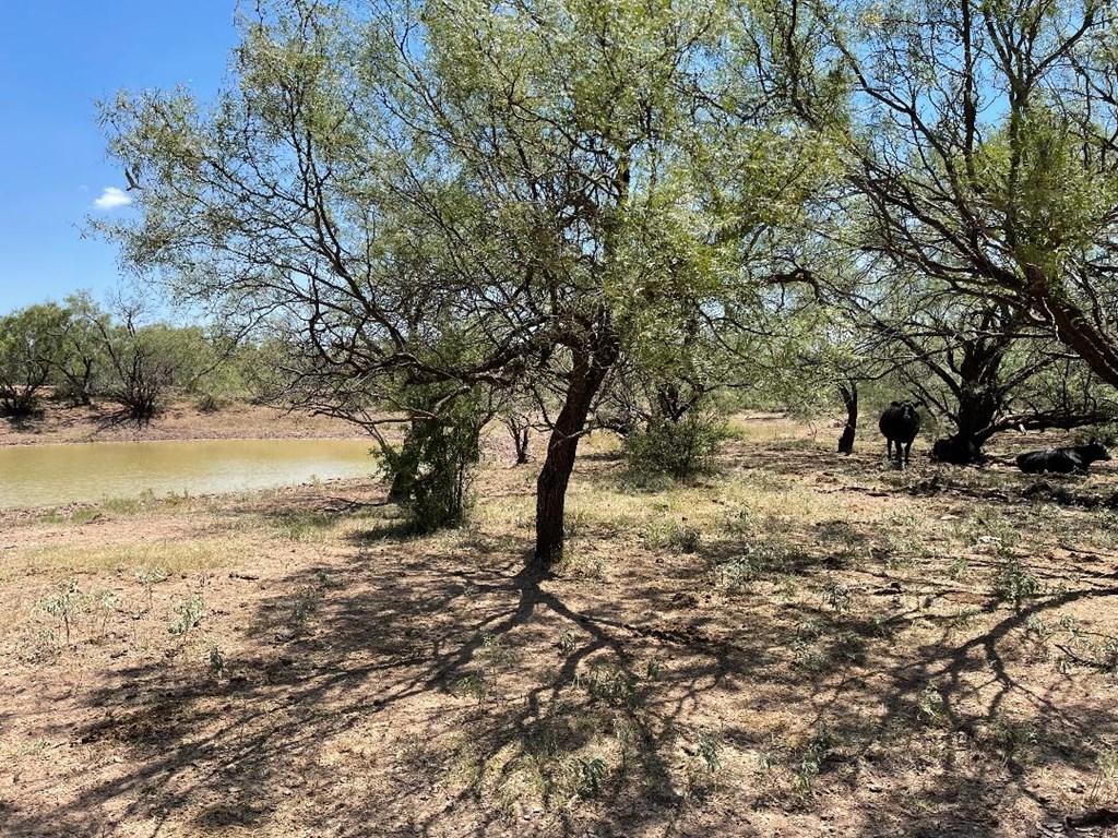 N/A Wall, Wall, Texas image 3