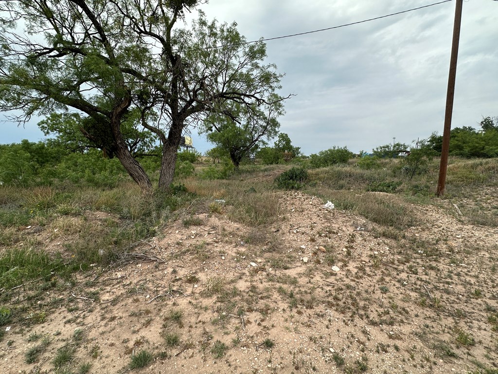 1314 Veck St #11, San Angelo, Texas image 3