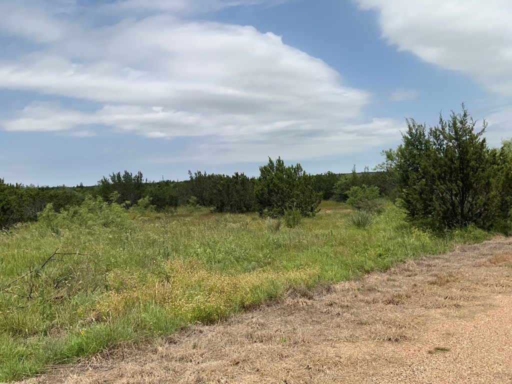 14440 Gattling Creek Loop #TRACT 51, Millersview, Texas image 5