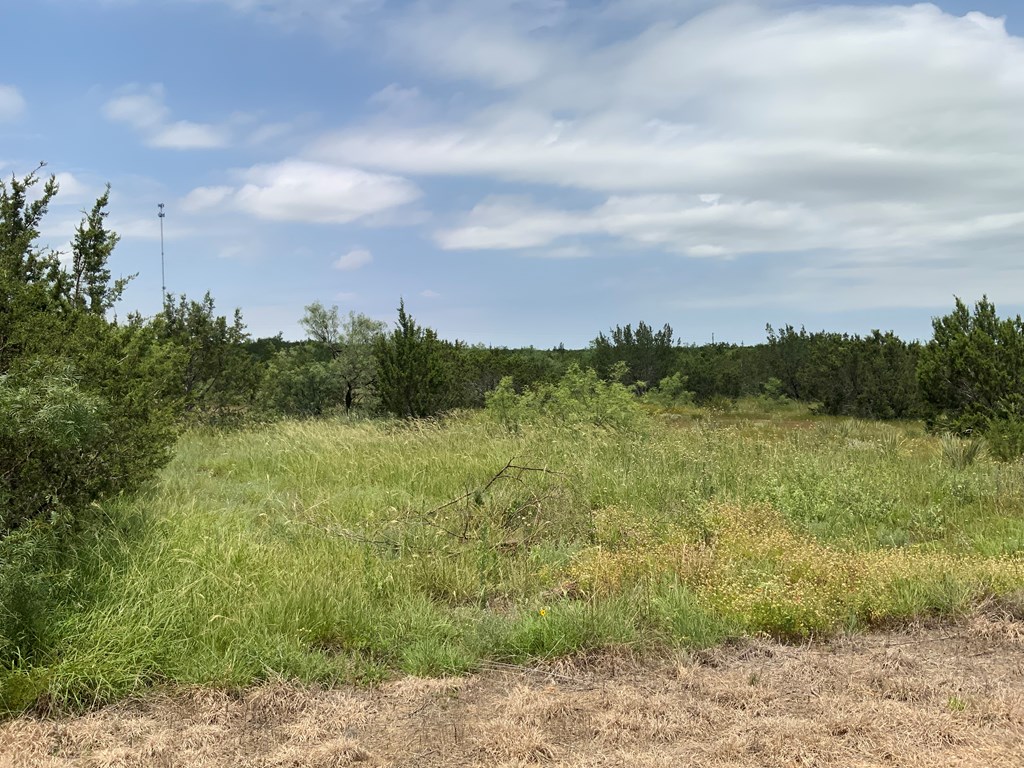 14440 Gattling Creek Loop #TRACT 51, Millersview, Texas image 4