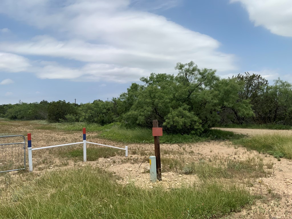 14440 Gattling Creek Loop #TRACT 51, Millersview, Texas image 3