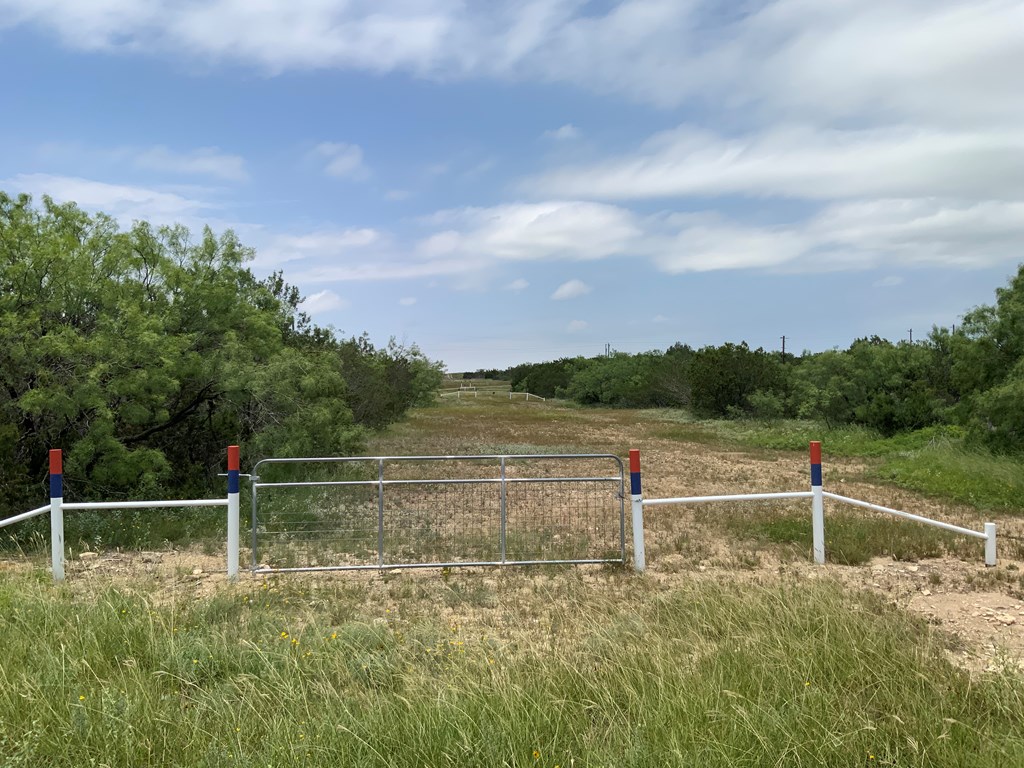 14440 Gattling Creek Loop #TRACT 51, Millersview, Texas image 2