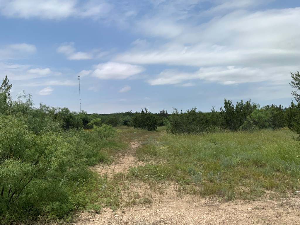 14440 Gattling Creek Loop #TRACT 51, Millersview, Texas image 7