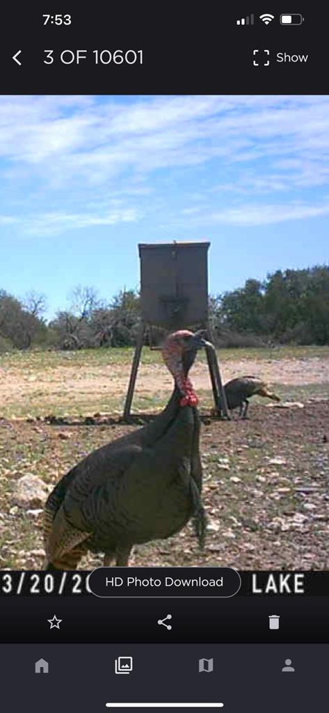 1019 Whitetail Trl #11, Eldorado, Texas image 13