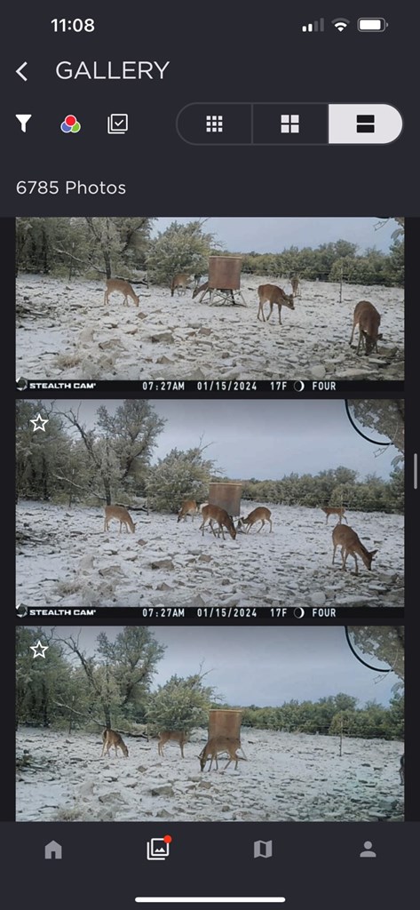 1019 Whitetail Trl #11, Eldorado, Texas image 4