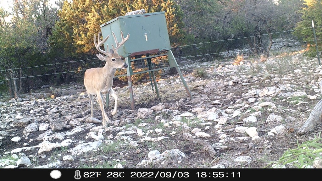 1019 Whitetail Trl #11, Eldorado, Texas image 17