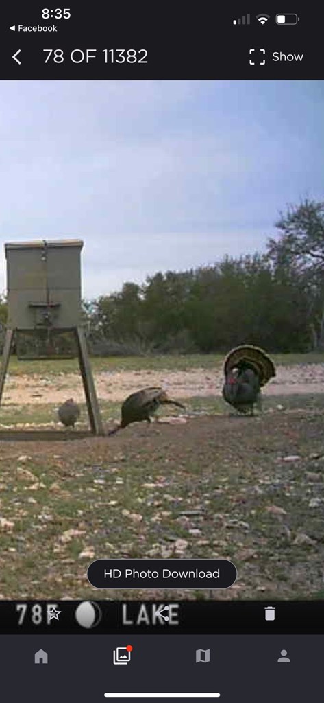 1019 Whitetail Trl #11, Eldorado, Texas image 12