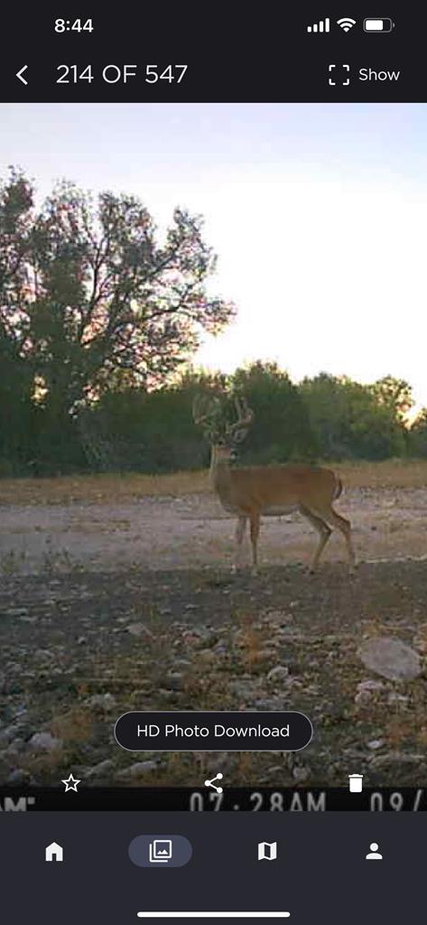 1019 Whitetail Trl #11, Eldorado, Texas image 9