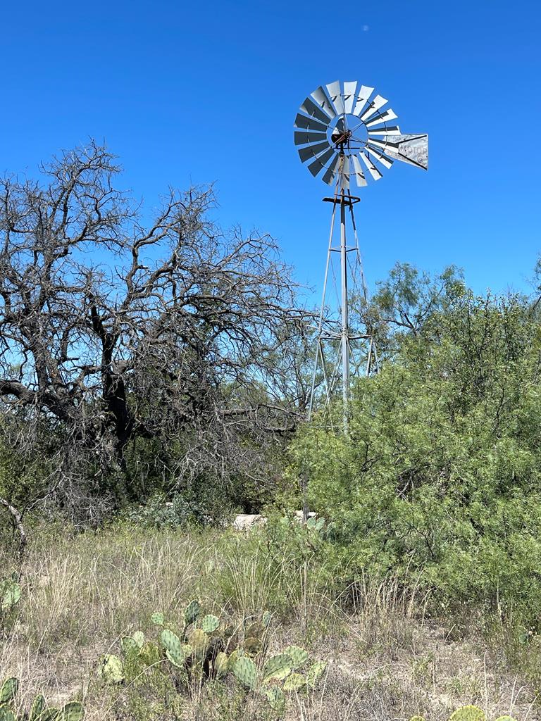 Fm 176, Eden, Texas image 29