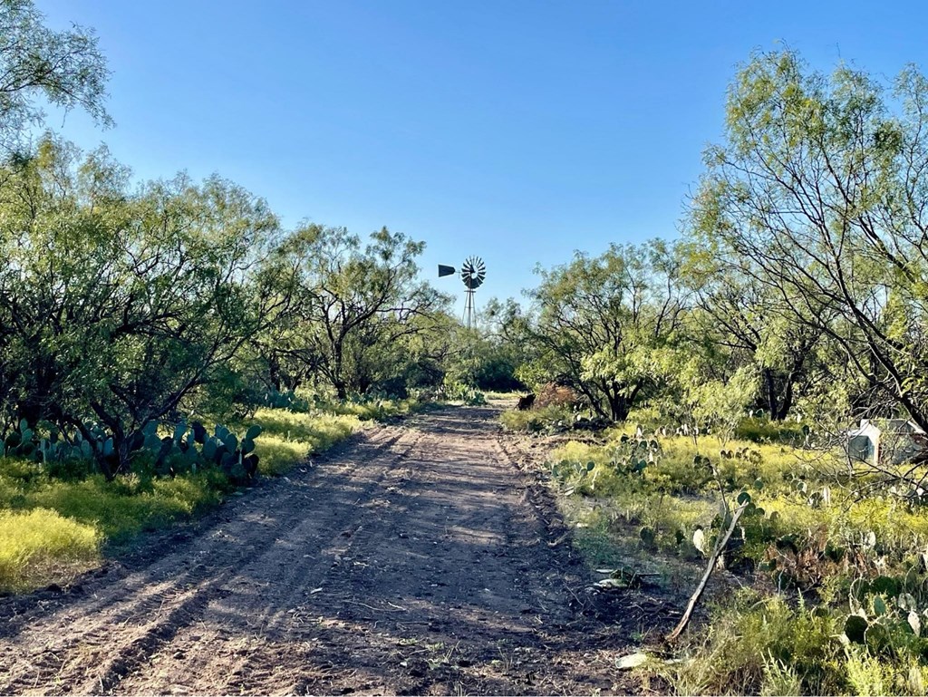 Fm 176, Eden, Texas image 36