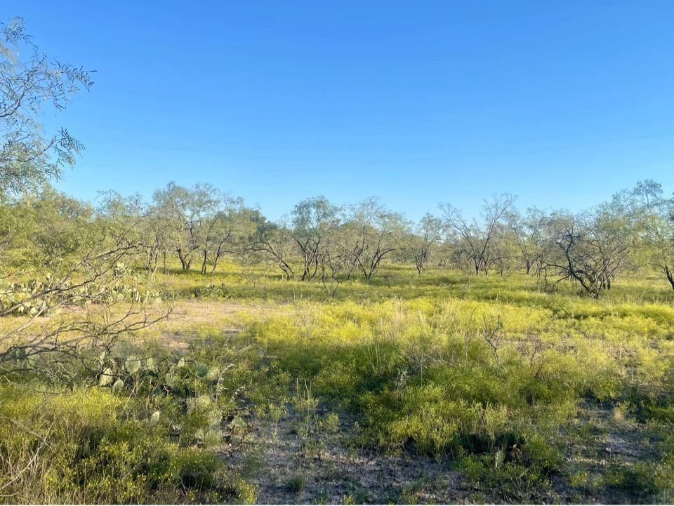 Fm 176, Eden, Texas image 1