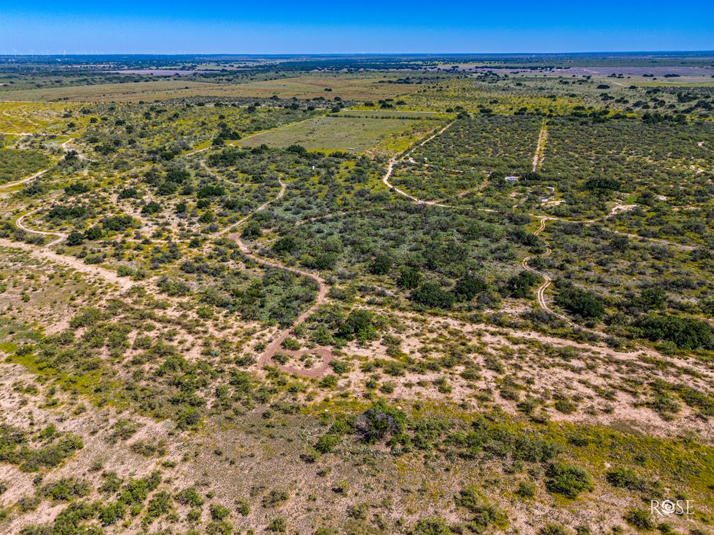 Fm 176, Eden, Texas image 47