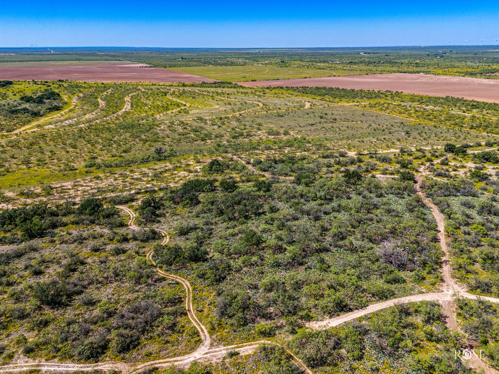 Fm 176, Eden, Texas image 40