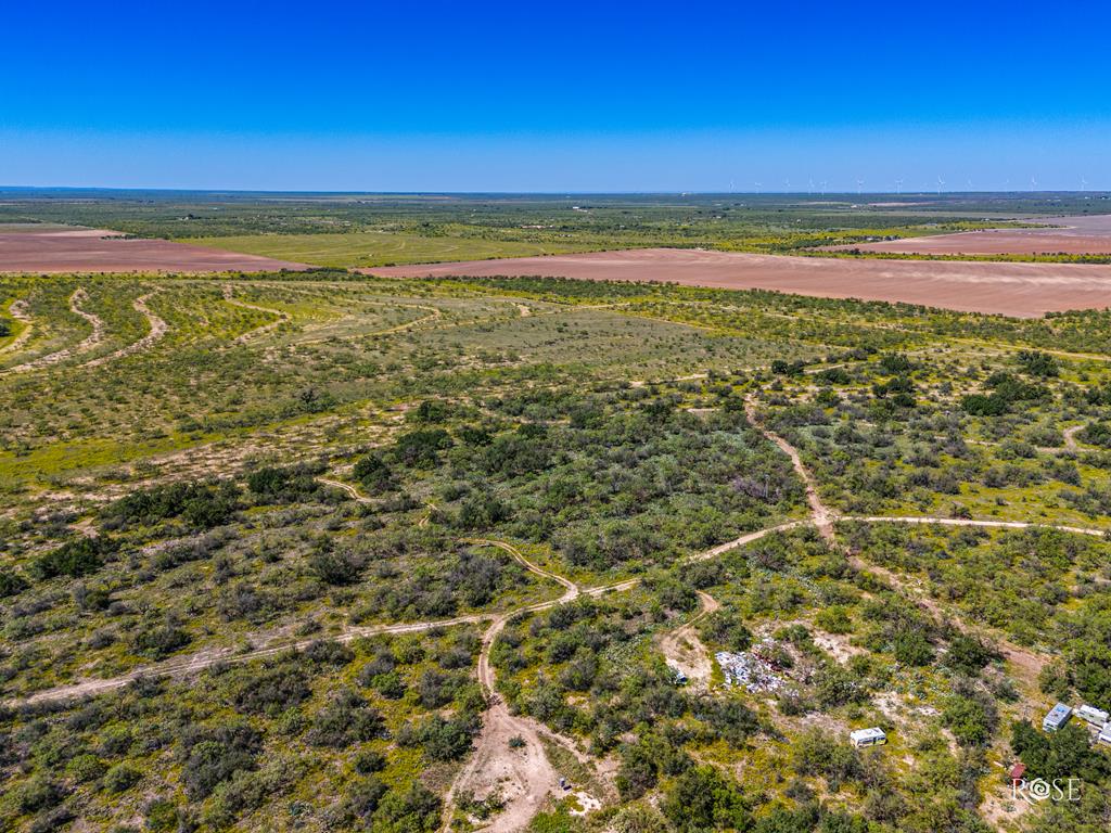 Fm 176, Eden, Texas image 13