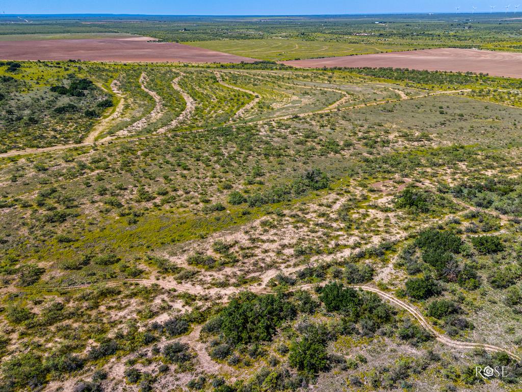 Fm 176, Eden, Texas image 38