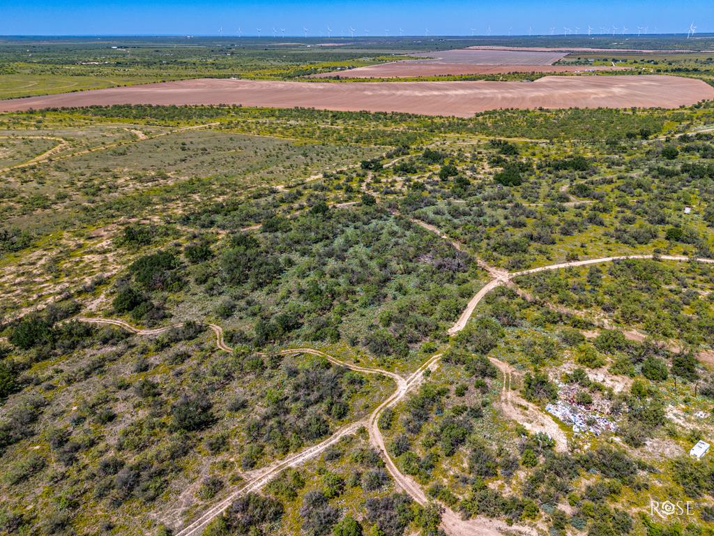 Fm 176, Eden, Texas image 15