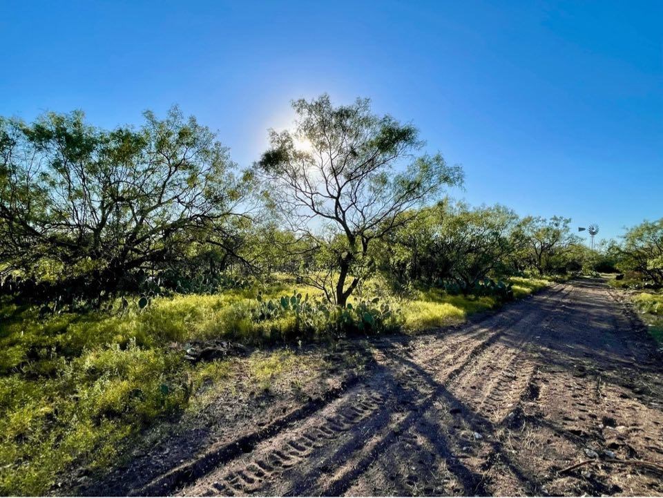 Fm 176, Eden, Texas image 32