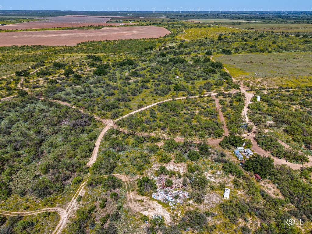 Fm 176, Eden, Texas image 19