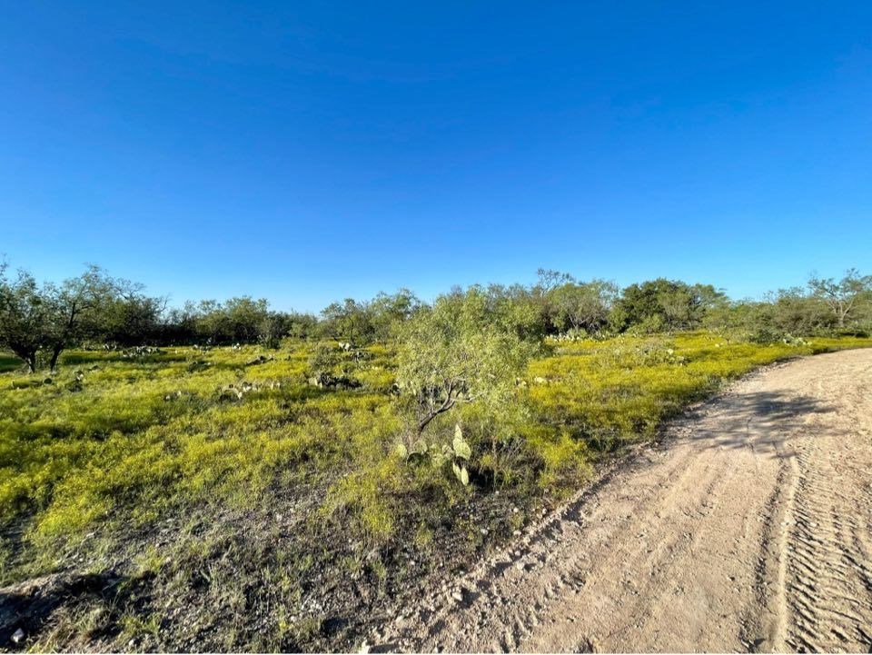 Fm 176, Eden, Texas image 33