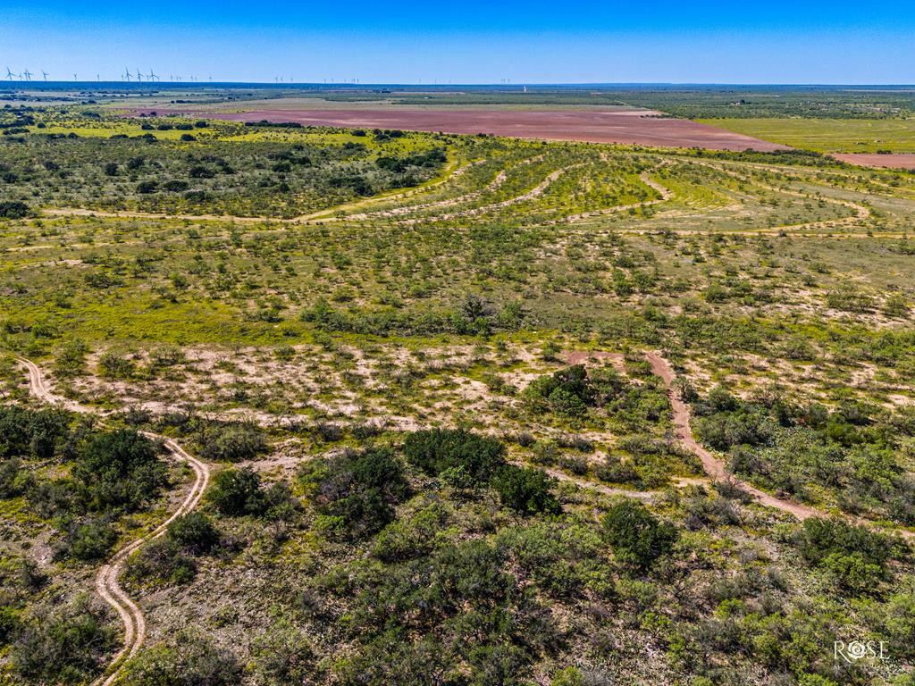 Fm 176, Eden, Texas image 43