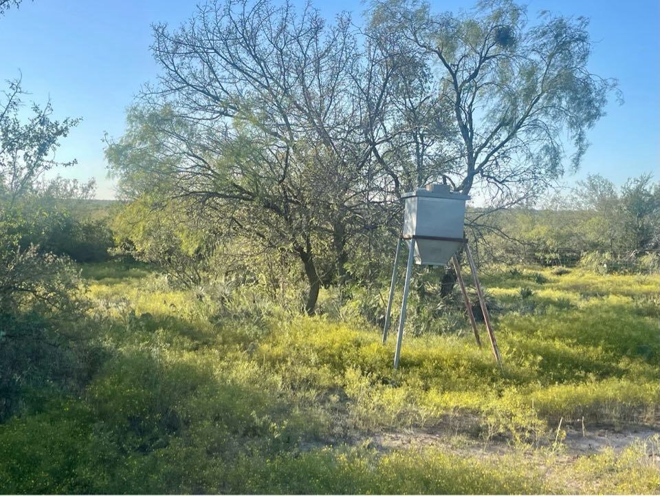 Fm 176, Eden, Texas image 31