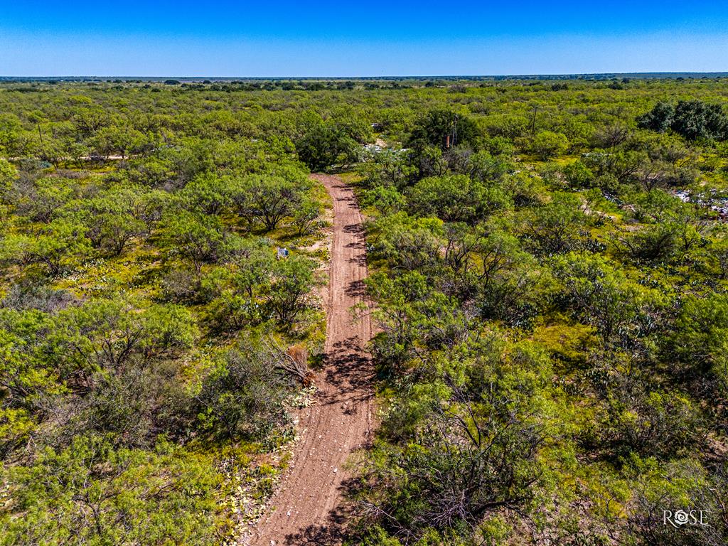 Fm 176, Eden, Texas image 18