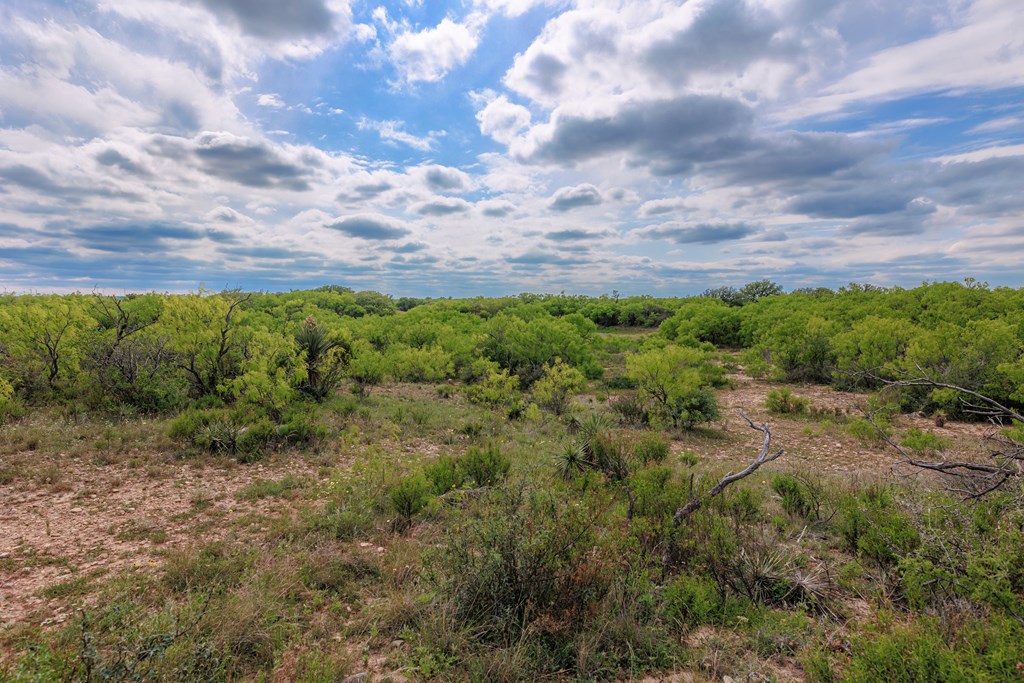 Land, Lohn, Texas image 31