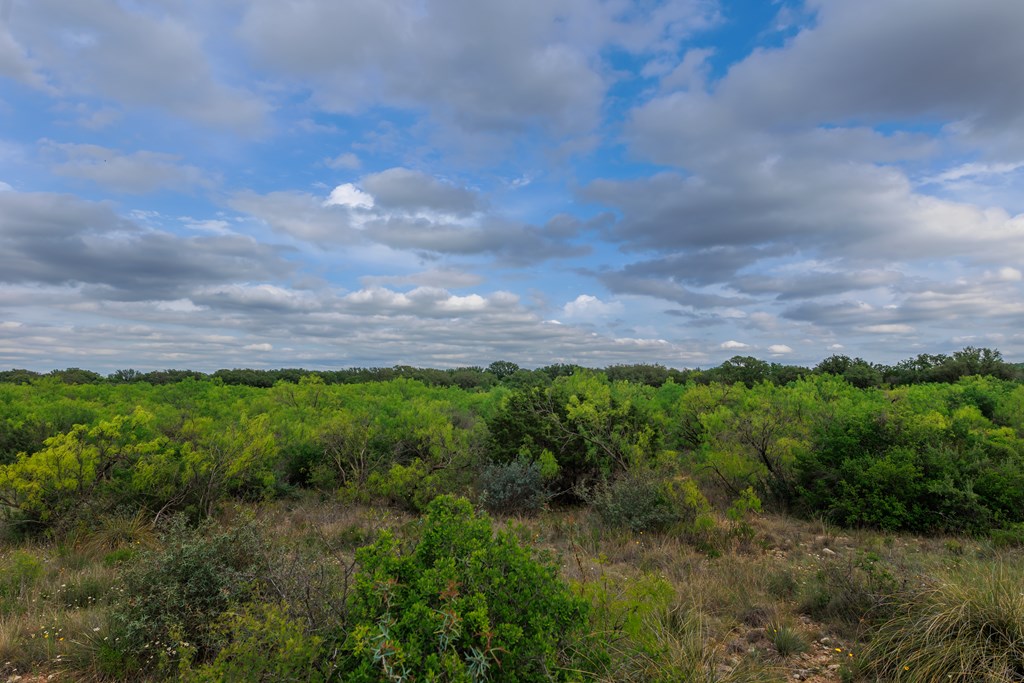 Land, Lohn, Texas image 43