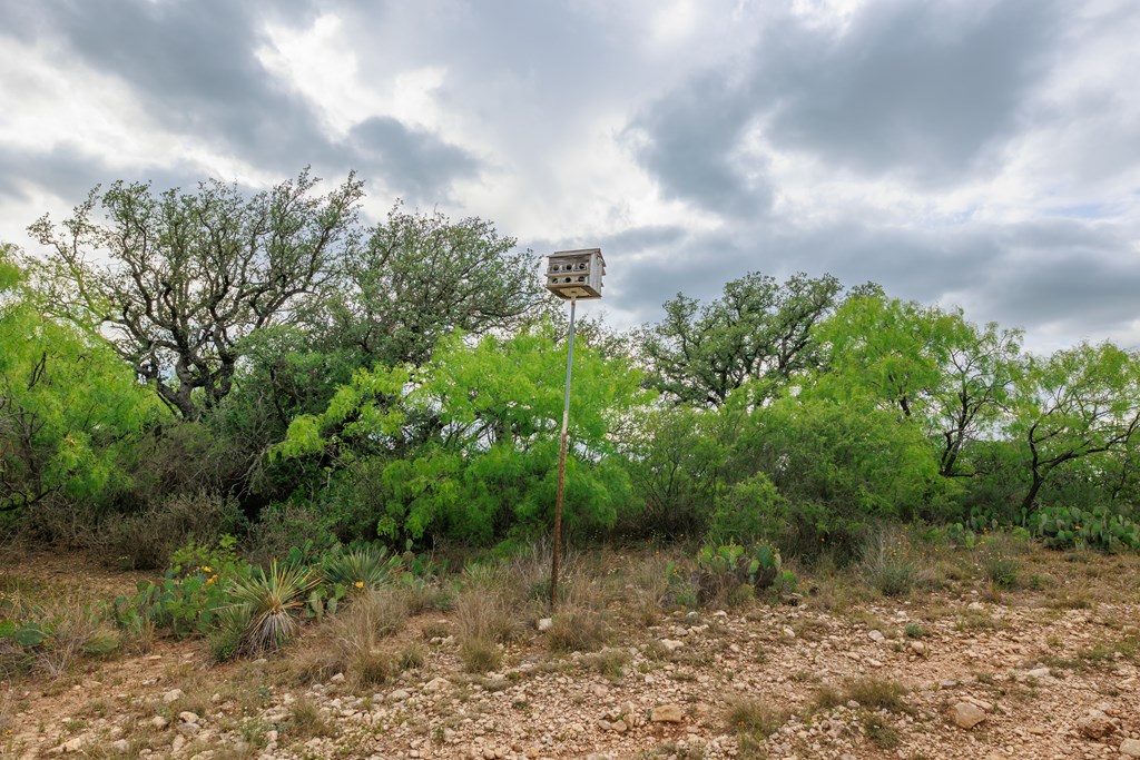 Land, Lohn, Texas image 45