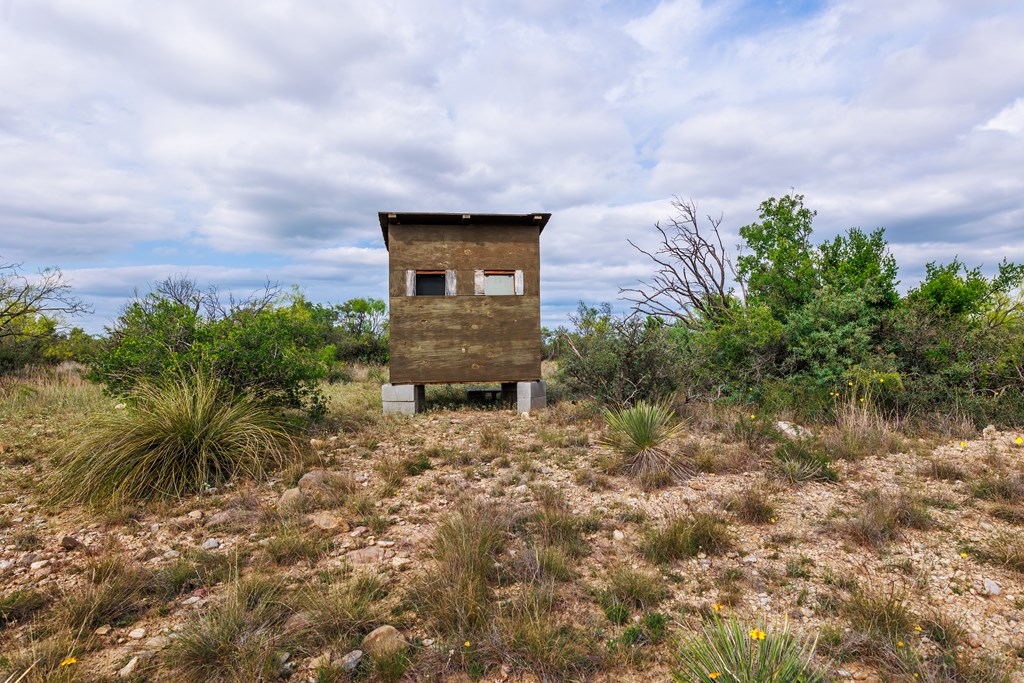 Land, Lohn, Texas image 34