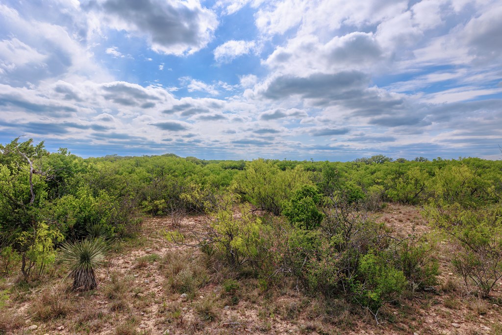 Land, Lohn, Texas image 32