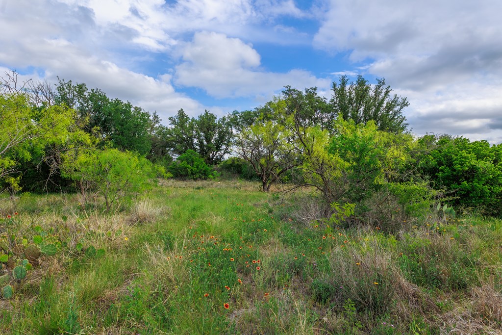 Land, Lohn, Texas image 36