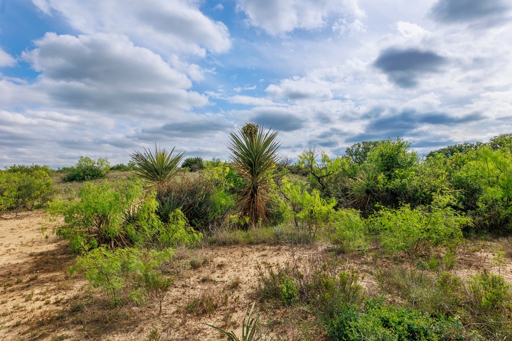 Land, Lohn, Texas image 33