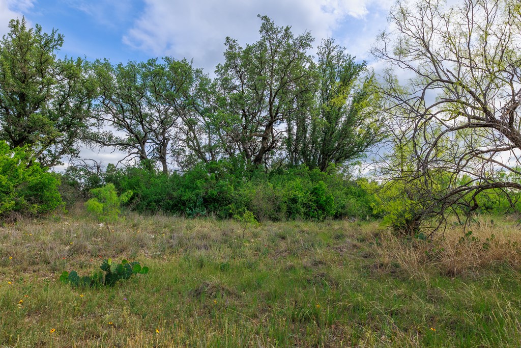 Land, Lohn, Texas image 37