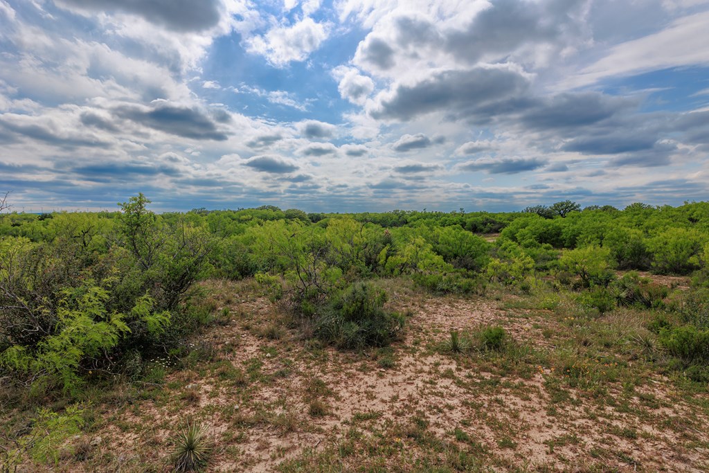 Land, Lohn, Texas image 30