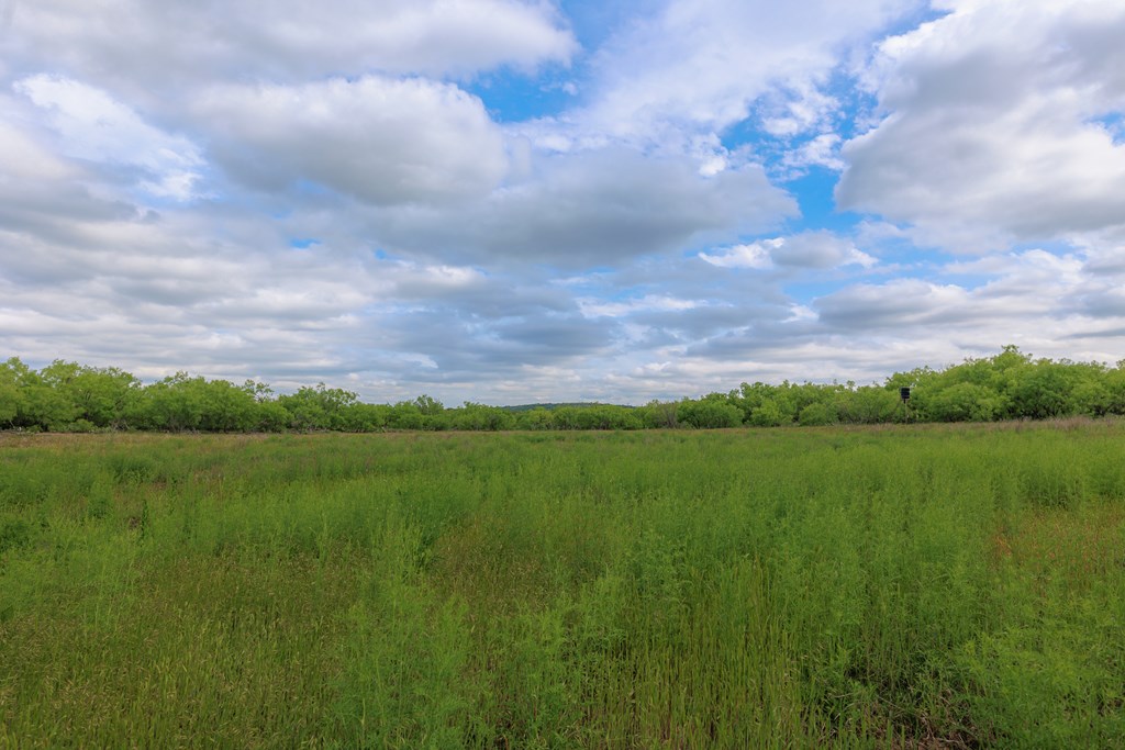 Land, Lohn, Texas image 27