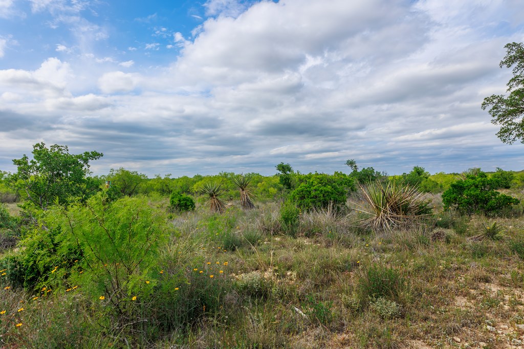 Land, Lohn, Texas image 38