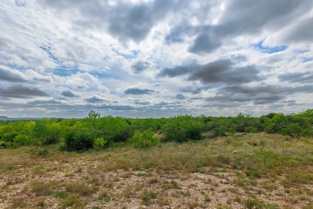 Land, Lohn, Texas image 12