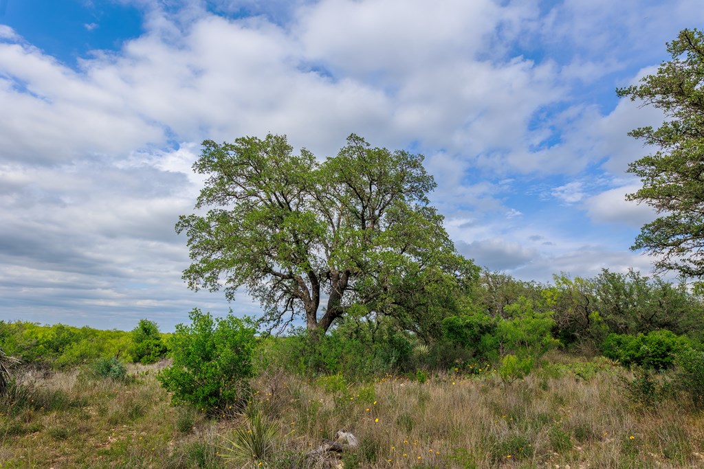 Land, Lohn, Texas image 40