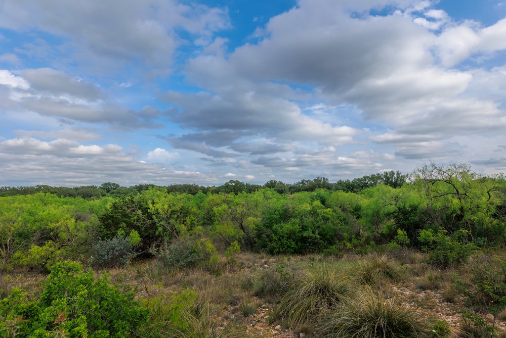 Land, Lohn, Texas image 42