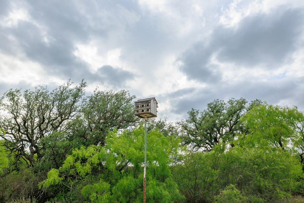 Land, Lohn, Texas image 46