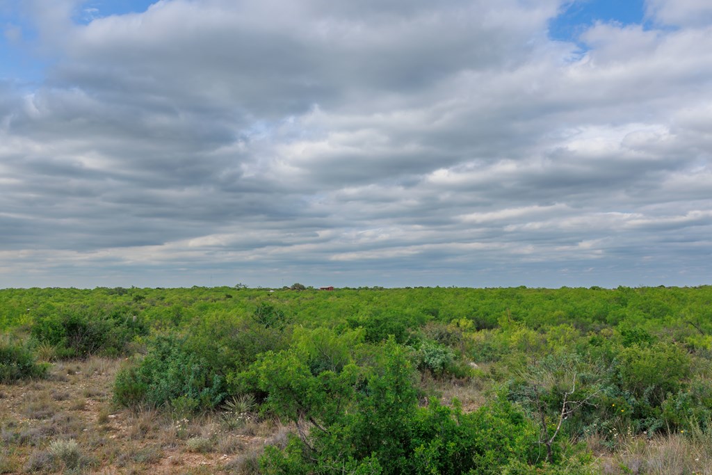 Land, Lohn, Texas image 41