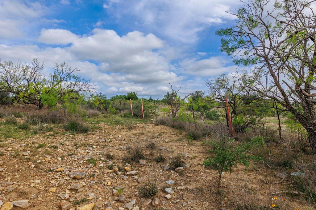 Land, Lohn, Texas image 35