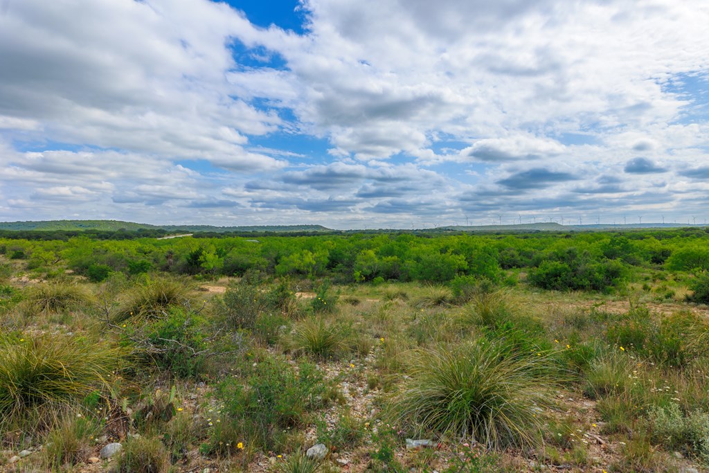 Land, Lohn, Texas image 9