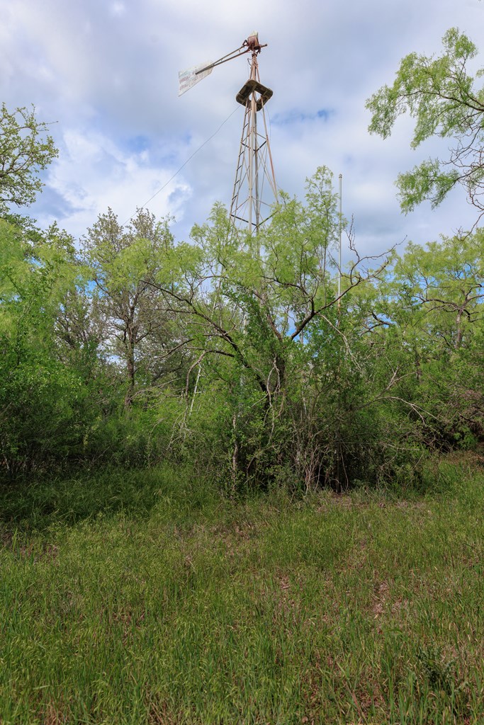 Land, Lohn, Texas image 26