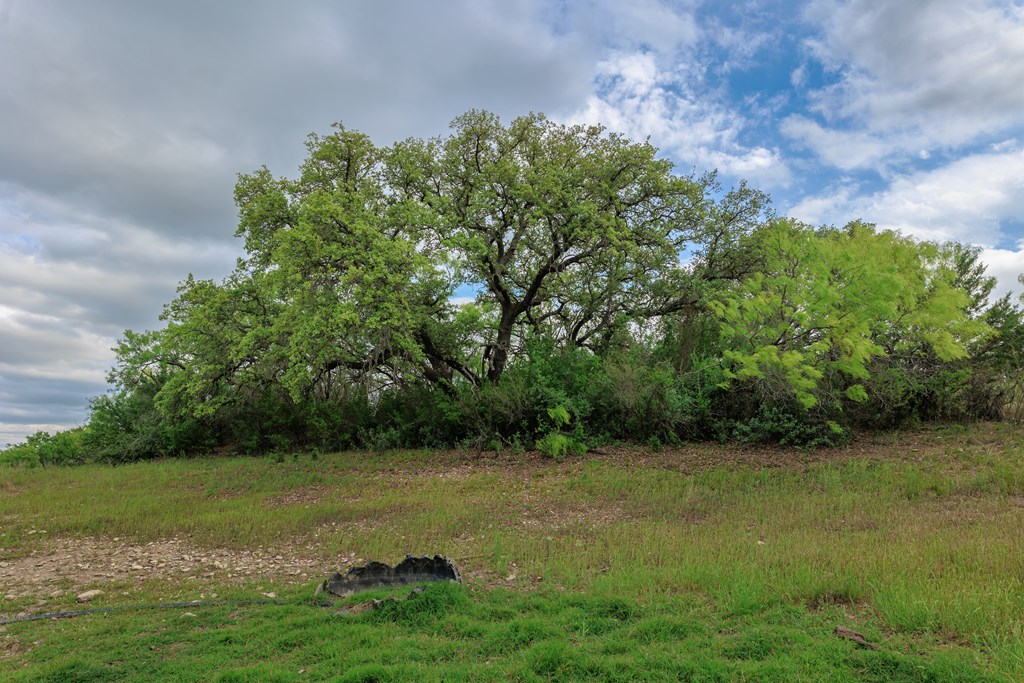 Land, Lohn, Texas image 22