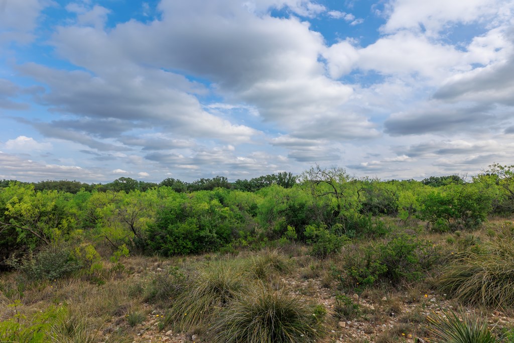 Land, Lohn, Texas image 44